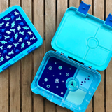 munchi kids bento lunch box - blue dinosaur design